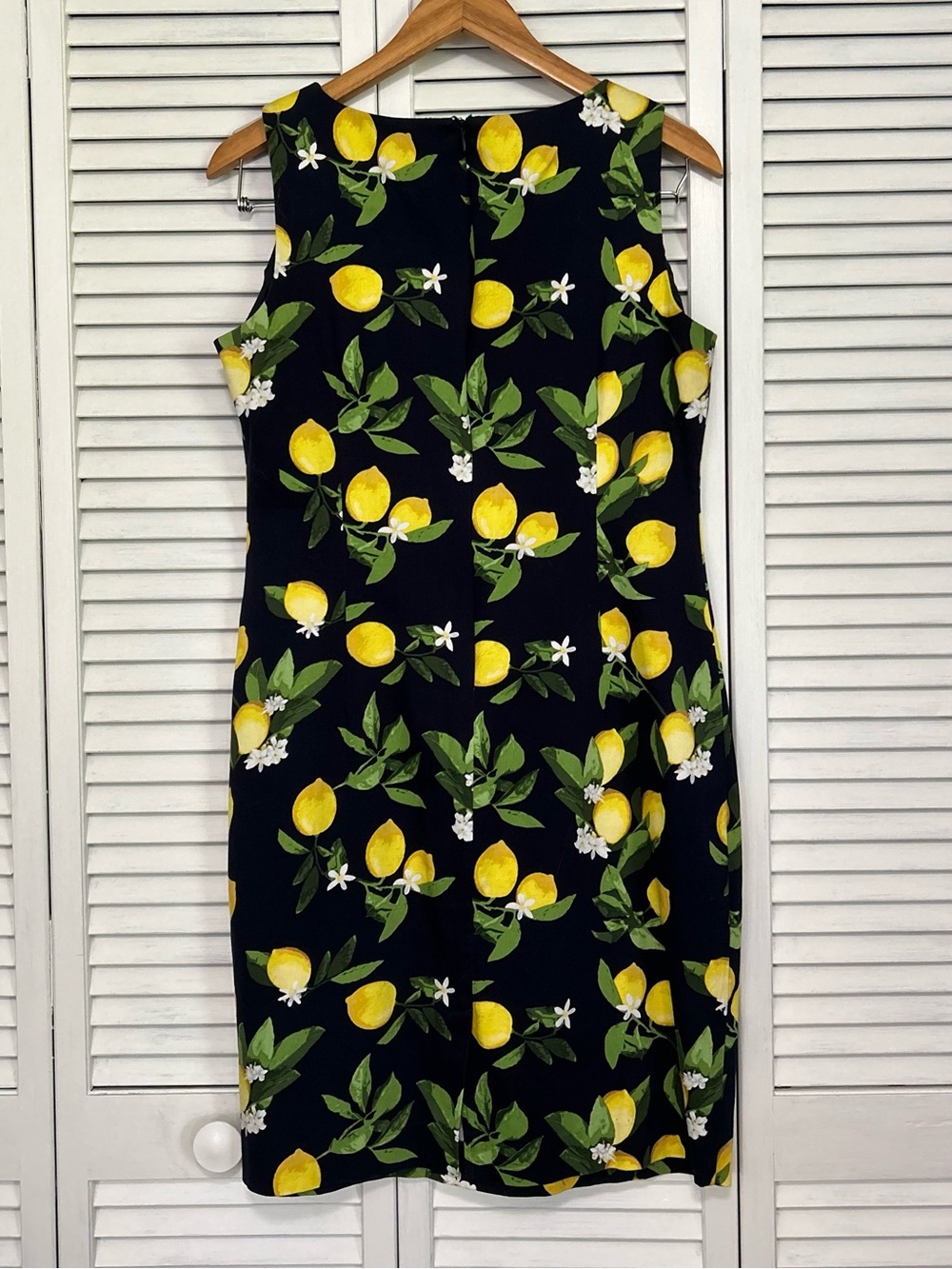 Chetta B Sleeveless Lemon
Print Dress Navy Blue White
Blossoms Size 8 - Picture 2 of 10